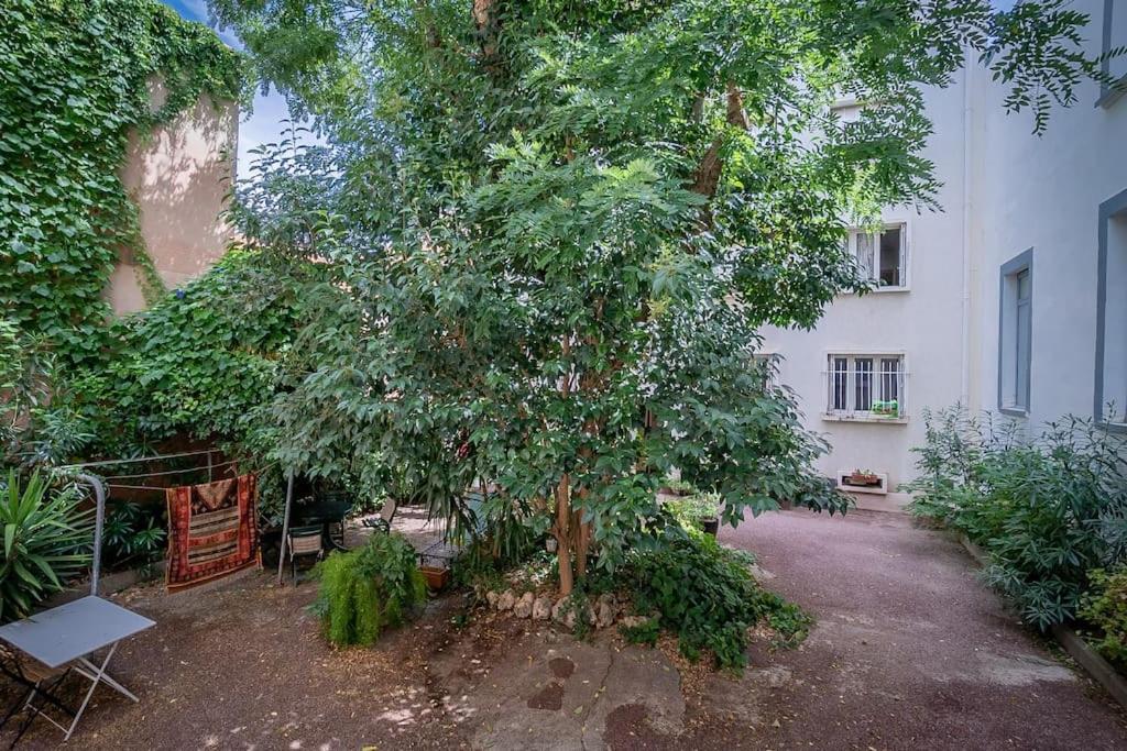 Le Contemporain, Charmant T1, Clim, Centre Ville Montpellier Ngoại thất bức ảnh
